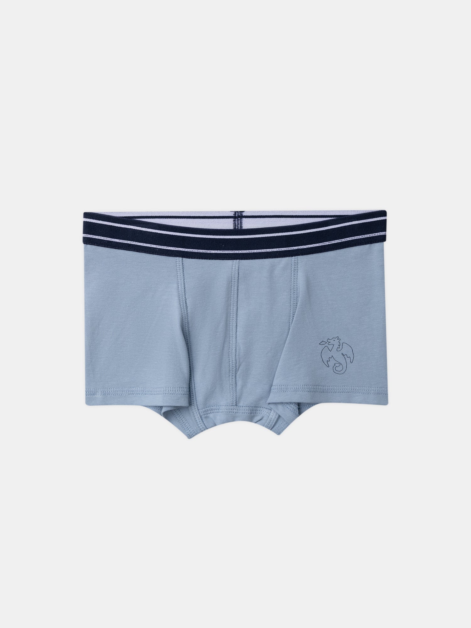 Lote 5 boxers Menino