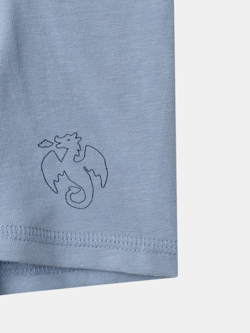 Lote 5 boxers Menino