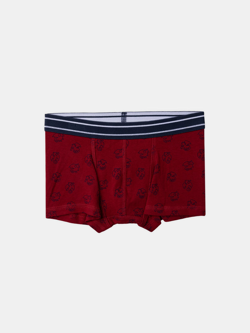 Lote 5 boxers Menino