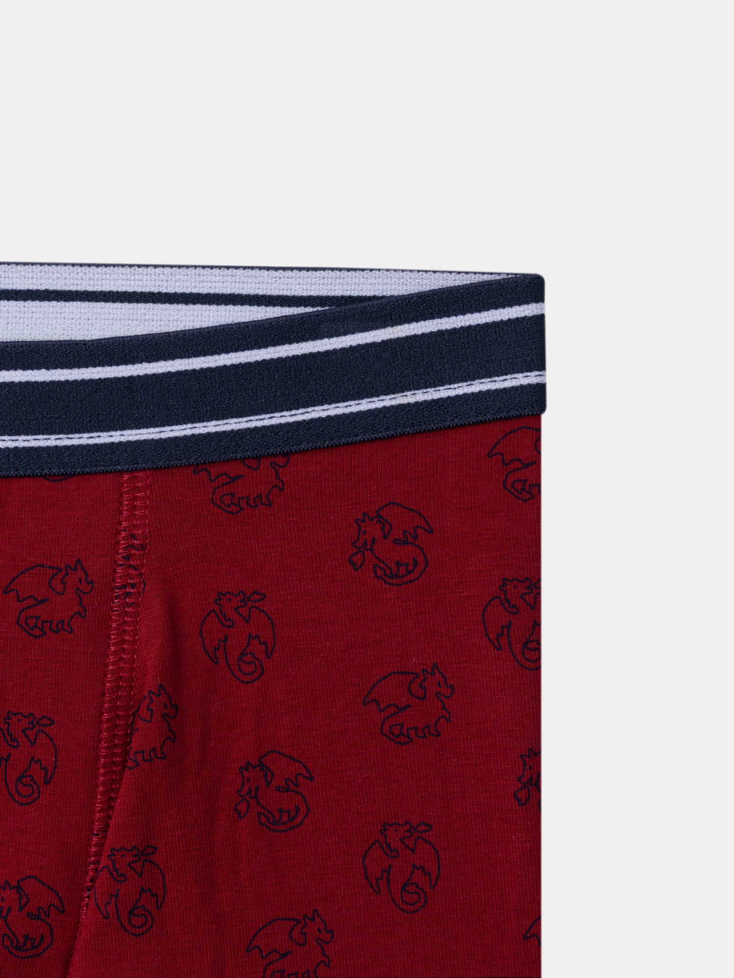Lote 5 boxers Menino