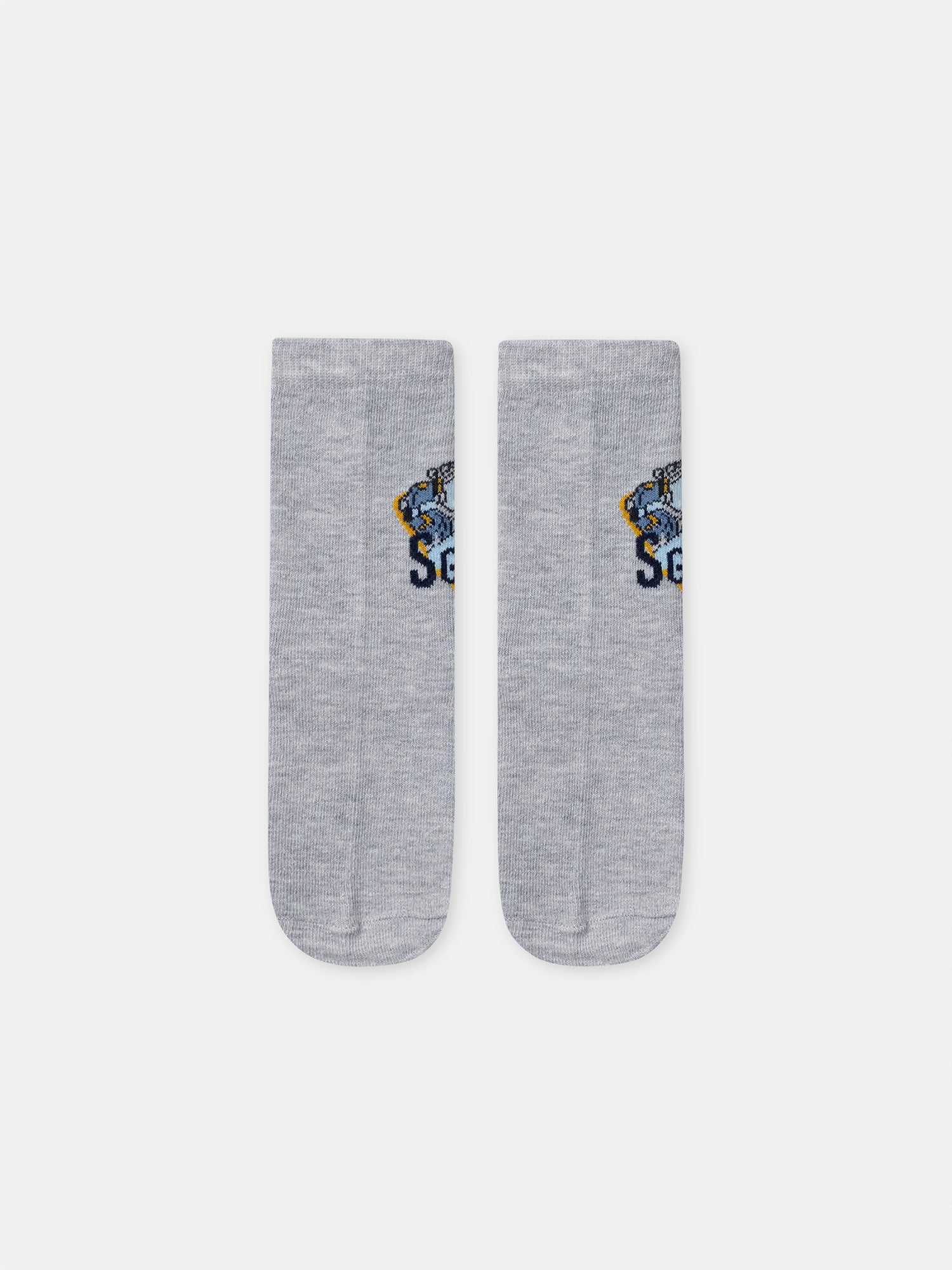 Lot de 5 paires de chaussettes Garçon