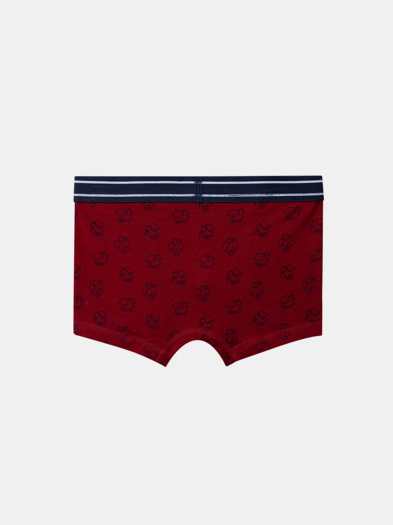 Lote 5 boxers Menino