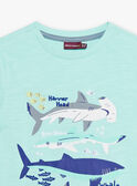T-shirt azul-turquesa com padrão de tubarões menino COTIFAGE / 22E3PGN1TMC203