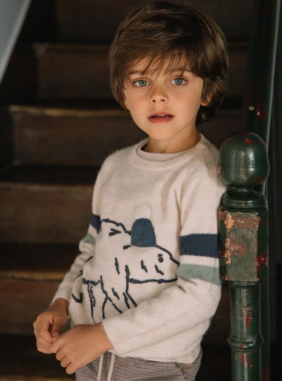 Camisola com padrão de urso polar DESERTAGE / 22H3PGR2PULA011