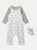 Conjunto de dia body + jardineiras + meias MONZON / 25E0CG22ENSG610