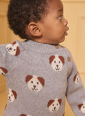 Camisola jacquard cães LAOREL / 24H1BGQ1PUL943