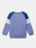 Sweatshirt Tigre METRAGE / 25E3PG81SWE221
