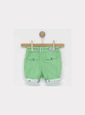 Green Bermuda NAXENCE / 18E1BGQ1BERG619