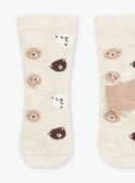 Meias beges com estampado ursinhos GALAMY / 23H4BGH1SOQA010