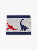 Snood bicolor padrão dinossauros menino BAFILAGE / 21H4PGD3SNO943