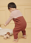 Babygrow canelado com raposa LEALEXIS / 24H5BG37GREE406