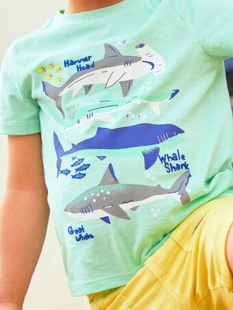 T-shirt azul-turquesa com padrão de tubarões menino COTIFAGE / 22E3PGN1TMC203