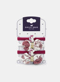 Strawberry rose ELASTIC NYHOUETTE / 25H4PF73ELA308