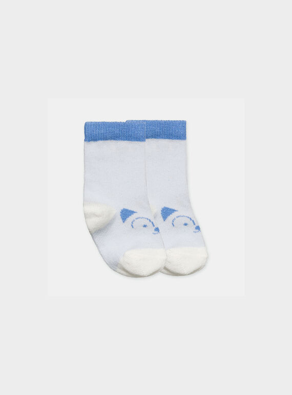 Blue sky Socks PADOMINIK / 18H0AG11SOQ020