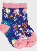 Navy Socks PACHOK / 18H4BF61SOQC214