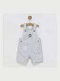 Jardineiras curtas cinzentas RYDYLAN / 19E1BGS1SAC904