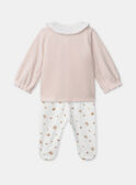 Light rose SET NOELINE / 25H0NF21ENS318