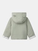 Green JACKET MOLDOVAN / 25E0CG12VESG610