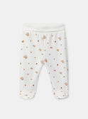 Light rose SET NOELINE / 25H0NF21ENS318