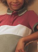 Camisa pólo com dinossauro colorblock FRIPLAGE1 / 23E3PGD1POL628