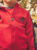 Sweat com capuz bicolor FEGILAGE / 23E3PGB1GIL506