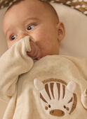 Babygrow zebra de veludo   MOSES / 25E0NG22GREA011
