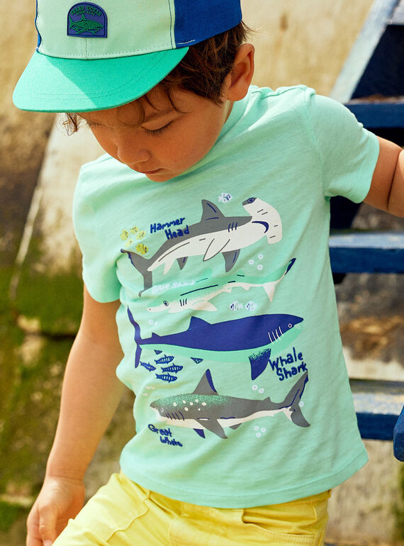 T-shirt azul-turquesa com padrão de tubarões menino COTIFAGE / 22E3PGN1TMC203