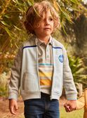 Teddy Jacquard cinza e azul FABELAGE / 23E3PG81GIL943