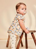 Blusa baunilha em cetim com estampado de frutos FAPENNY / 23E1BFO1CHE114