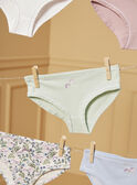 Lote de 5 cuecas LUIZETTE / 24H5PF51SLR005