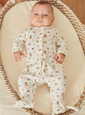 Babygro cru em veludo em algodão biológico e poliéster reciclado GOLDEN / 23H0NMB2GRE001