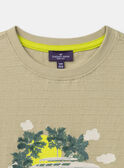 Green TEE SHIRT SS NATICHAGE / 25H3PGJ1TMCG601
