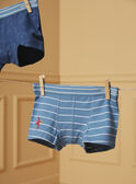 Conjunto de 3 boxers Dinossauro LUIBOXAGE / 24H5PG52BOXC242