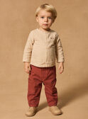 Camisa às riscas  MAAMIR / 25E1BG71CHM114
