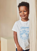 T-shirt cru e azul-claro com padrão tigre texturizado menino CAZOTAGE3 / 22E3PGF1TMC001