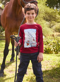 T-shirt Gronelândia LARENAGE / 24H3PGR2TML501
