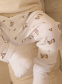 Conjunto de top + calças + meias MORRIS / 25E0CG23ENSA011