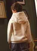 Sweat com Capuz em Peluche LADOTAGE / 24H3PGQ1SWE811