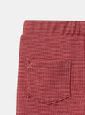 Rose LEGGINGS (bottom) NOLEGETTE / 25H2PFP1LG030