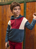 Sweat Tricolor com Capuz LAROAGE / 24H3PGR1SWE714
