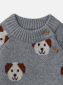 Camisola jacquard cães LAOREL / 24H1BGQ1PUL943