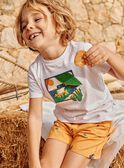 T-shirt cru de mangas curtas FLEFROGAGE / 23E3PGS3TMC001
