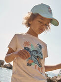 Boné turquesa em twill com padrão de dinossauro FLUBEACHAGE / 23E4PGQ1CHA205