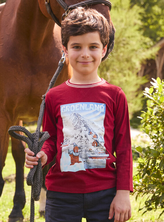 T-shirt Gronelândia LARENAGE / 24H3PGR2TML501
