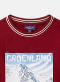 T-shirt Gronelândia LARENAGE / 24H3PGR2TML501