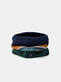 Navy SNOOD LIONECAGE / 24H4PG81SNO070