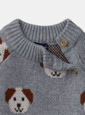 Camisola jacquard cães LAOREL / 24H1BGQ1PUL943