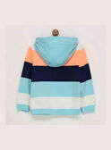 Sweat shirt turquesa RENORAGE / 19E3PGD1SWE203