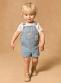  DUNGAREES MAMAURICE / 25E1BGK2SALP272