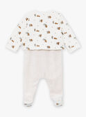 Conjunto babygro e casaco de malha bege e cru em veludo LOHENN / 24H0NG21ENSA011
